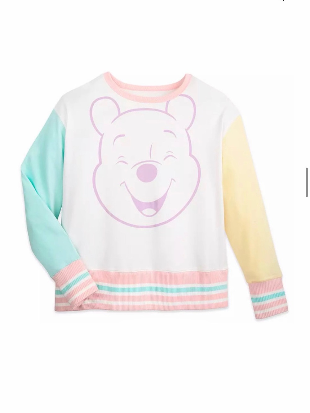 Pastel Colorblock Disney Winnie the Pooh Sweatshirt